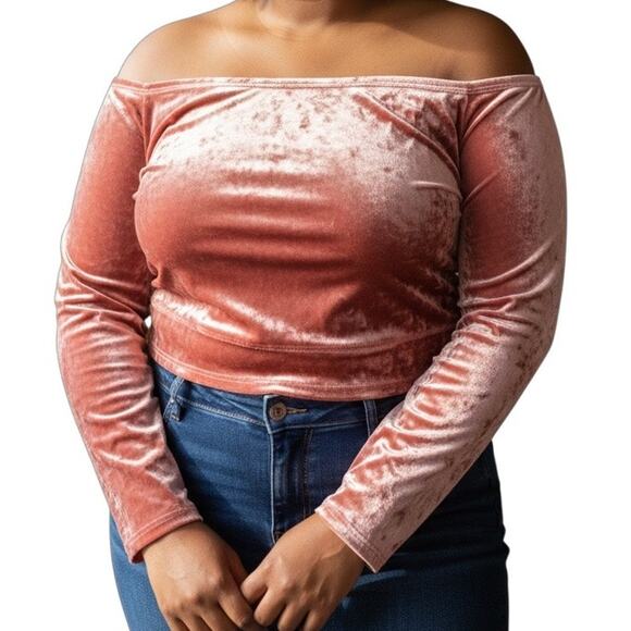 Yitty Plus Size 3X Pink Velvet Stretchy Long Sleeve Cropped Top Soft Luxe - Picture 1 of 9